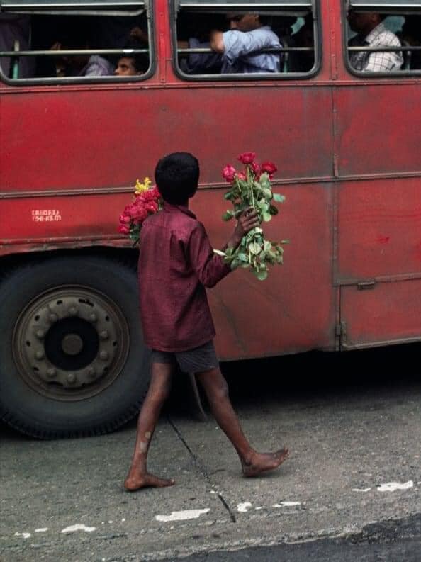 THE FLOWER BOY Short Moral Story.